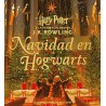 Navidad en Hogwarts, De Harry Potter y la piedra filosofal